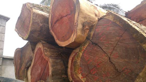 Sawn Wood Lumber Logs