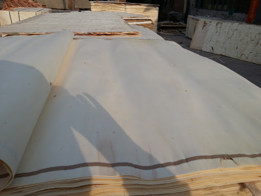 Poplar Rotary cut Veneers